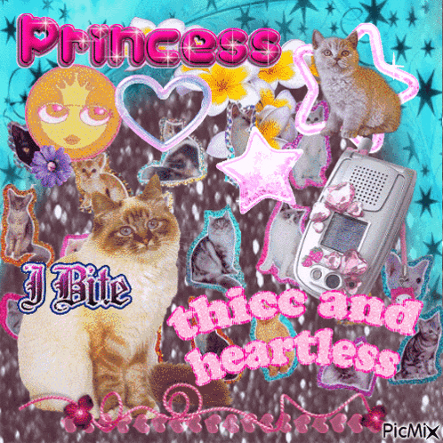 Y2k Picmix GIF