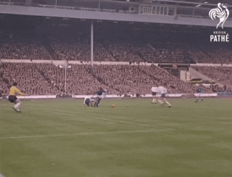 Yashin Lev Yashin GIF