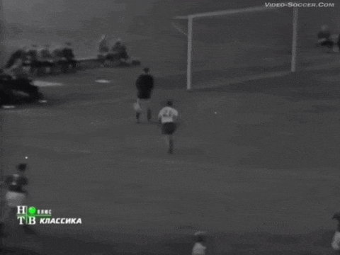 Yashin Lev Yashin GIF