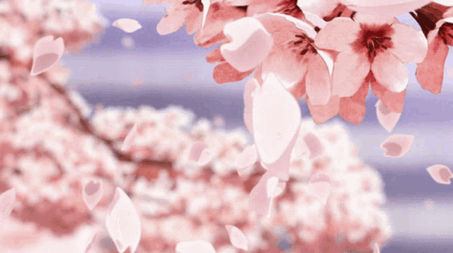 Yasmina GIF