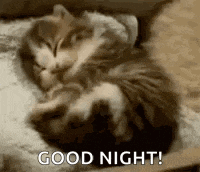 Yawn Tired GIF