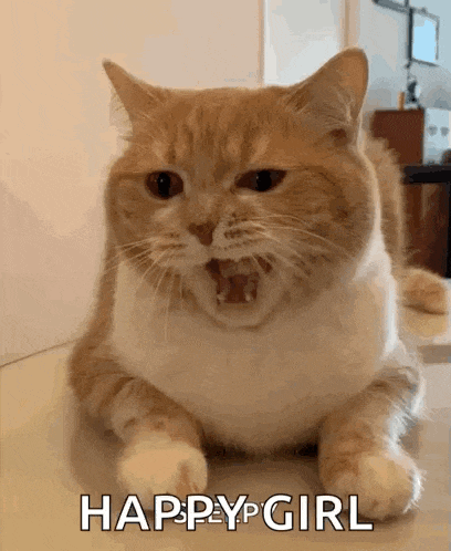 Yawn Yawning GIF