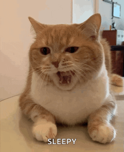 Yawn Yawning GIF