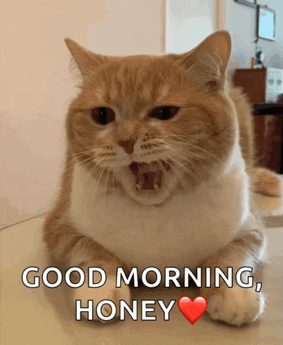 Yawn Yawning GIF