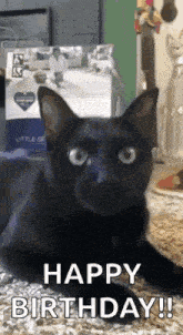 Yea GIF