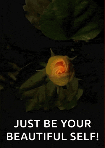 Yellow Flower Yellow Habiscus GIF