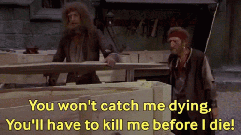 Yellowbeard Monty Python GIF