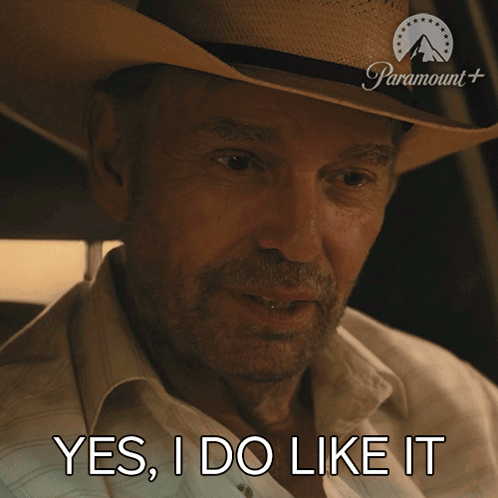 Yes I Do Like It Tommy Norris GIF