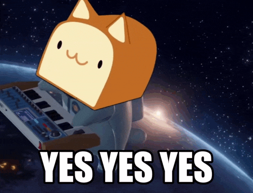 Yes Meow GIF