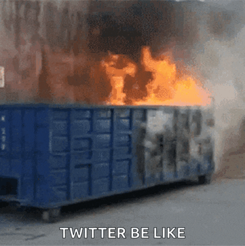 Yes No GIF