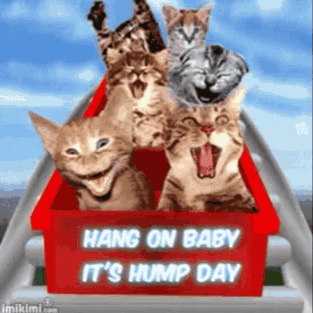 Yes GIF