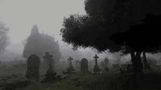 Yes GIF