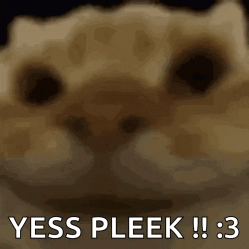 Yes Yes Cat GIF