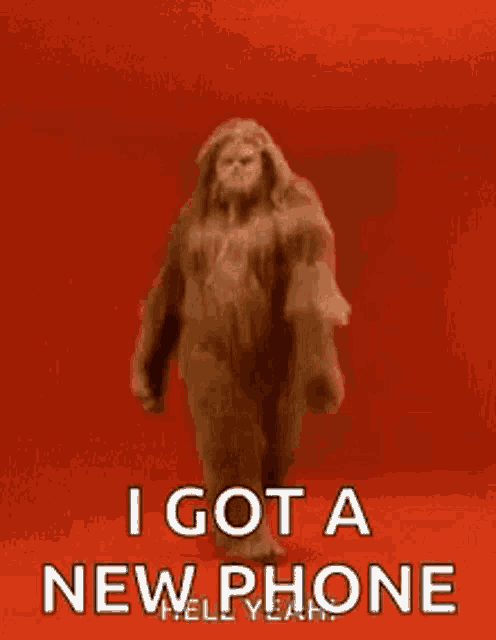 Yeti Cat GIF