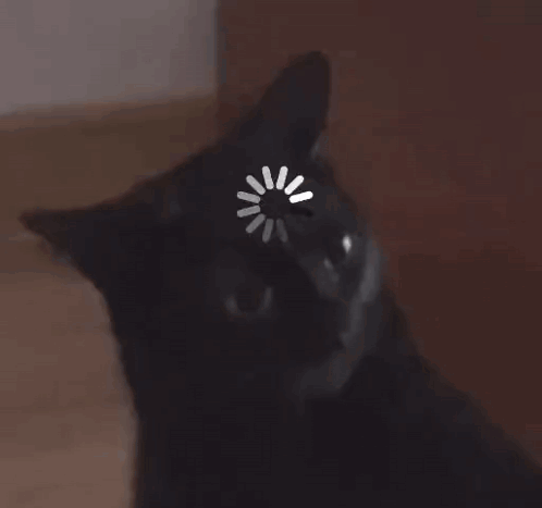 Yeyeskies Midnight The Cat GIF