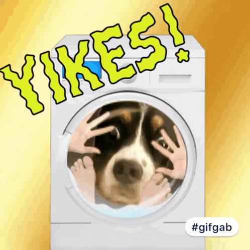 Yikes Funny Dog GIF