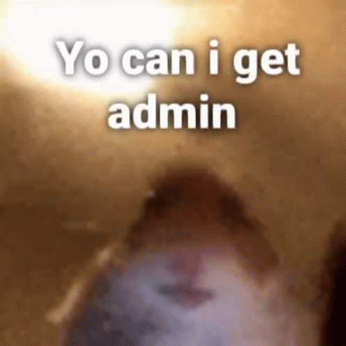 Yocanigetadmin GIF