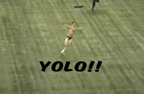 Yolo GIF
