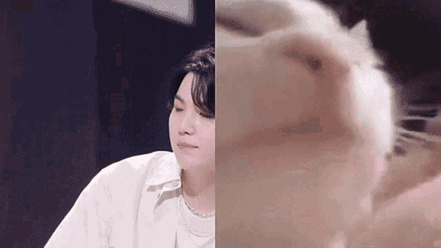Yoongi Cat Suga Cat GIF