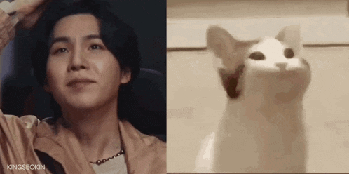 Yoongi Pop Cat Yoongi Cat GIF