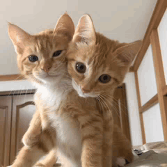 Yoonmin Yoongi GIF