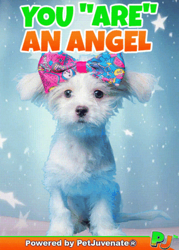 You Are An Angel My Angel GIF