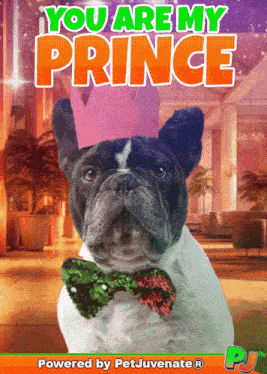 You Are My Prince You Are My Life GIF