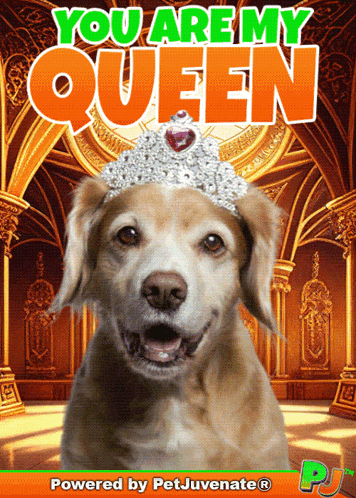 You Are My Qu You Are My Best Friend GIF
