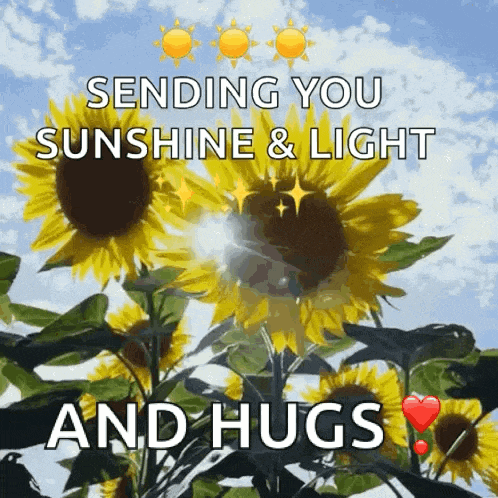 You Are My Sunshine I Love You GIF