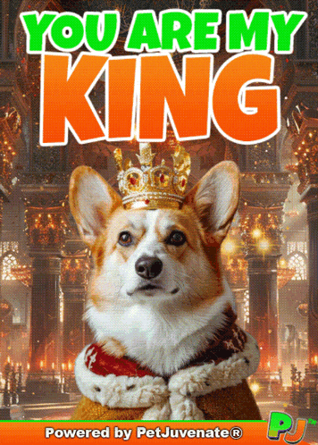 You Are My You Are My King GIF