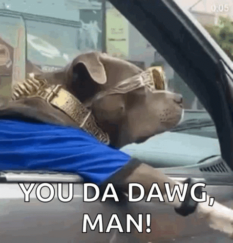 You Da GIF