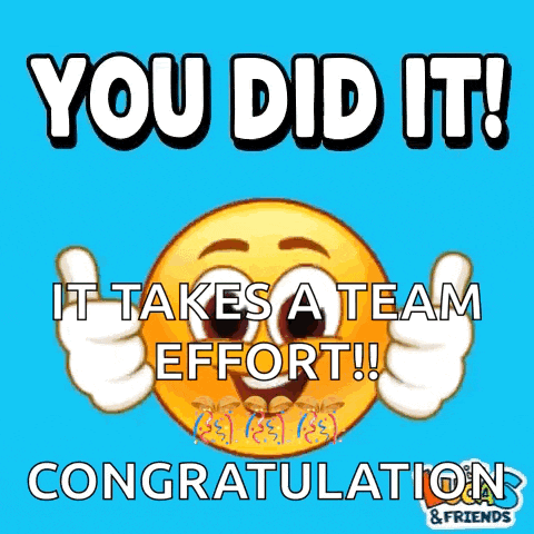 You Did It Well Done GIF