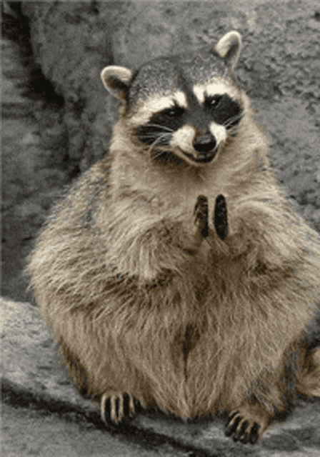 You Got GIF