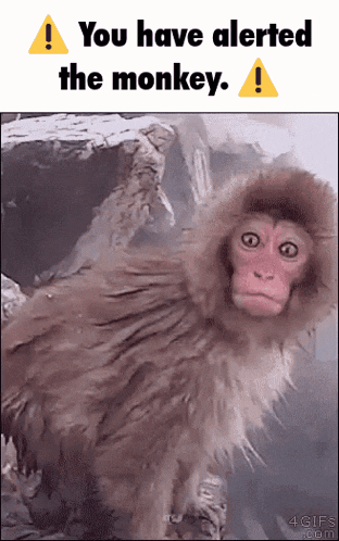You Have Alerted The You Have Alerted The Dog GIF