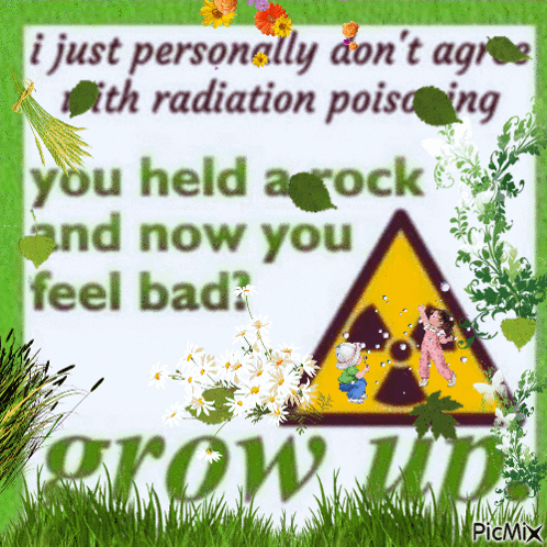 You Held A Rock Radiation Poisoning GIF