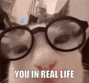 You Irl Smart Cat GIF