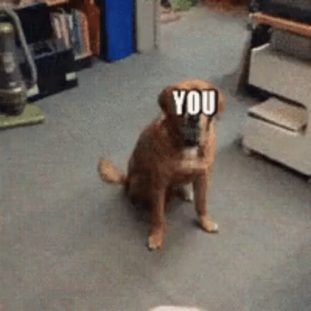 You Joke Not Affected GIF. This 440 x 440 animated GIF is part of our the joke went over your head collection. Related themes include jokes. Created by…