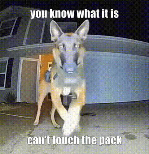 You Know What It Is Can'T Touch The Pack GIF