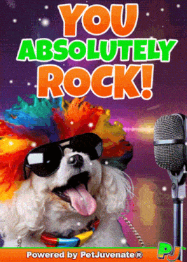 You Rock Gif Good Job Awesome Excellent Stoked Rad Respect Well Done Kudos Perfection Good Work Youre The Best Love You GIF
