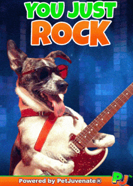 You Rock Pj Petjuvenate You Just Rock Pj GIF