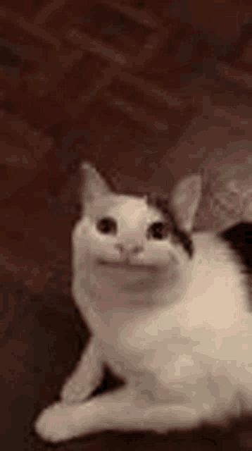 You Stink Meme