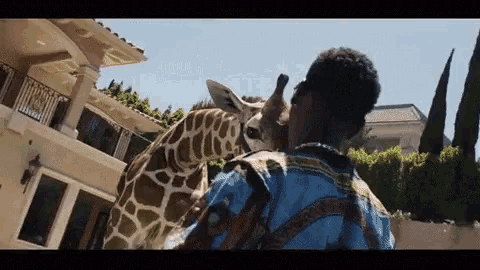 Young Dolph GIF