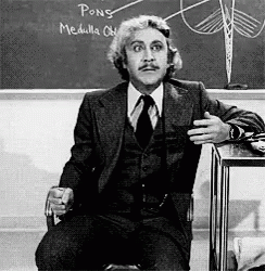 Young Frankenstein GIF. This 244 x 250 animated GIF is part of our frau blucher collection. View the original animation, share it, or browse related GIFs.