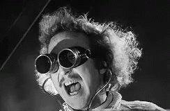 Young Frankenstein GIF
