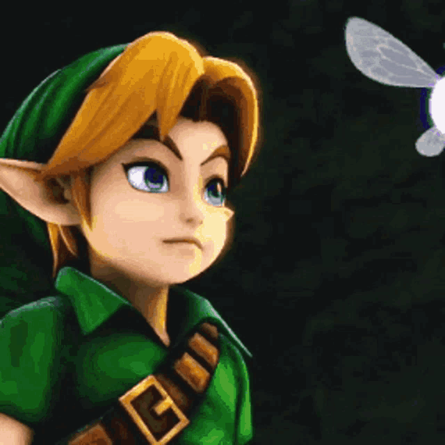 Young Link Fly GIF