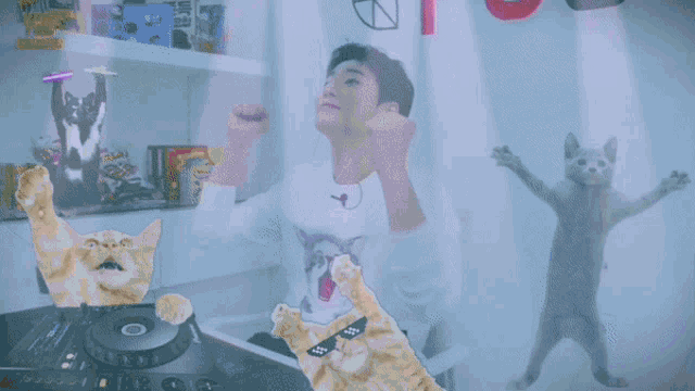 Youngk Cat GIF