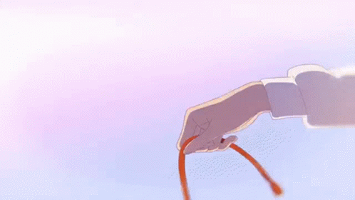 Your Name Rope GIF
