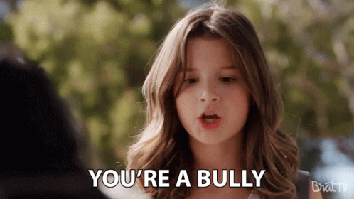 Youre A Bully Hate You GIF