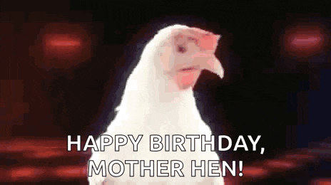 Youre A Chicken Chicken Dance GIF