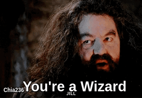 Youre A Wizard Hagrid GIF. This 498 x 344 animated GIF is part of our hagrid collection. Related themes include magic. Created by willcalimano. View the…